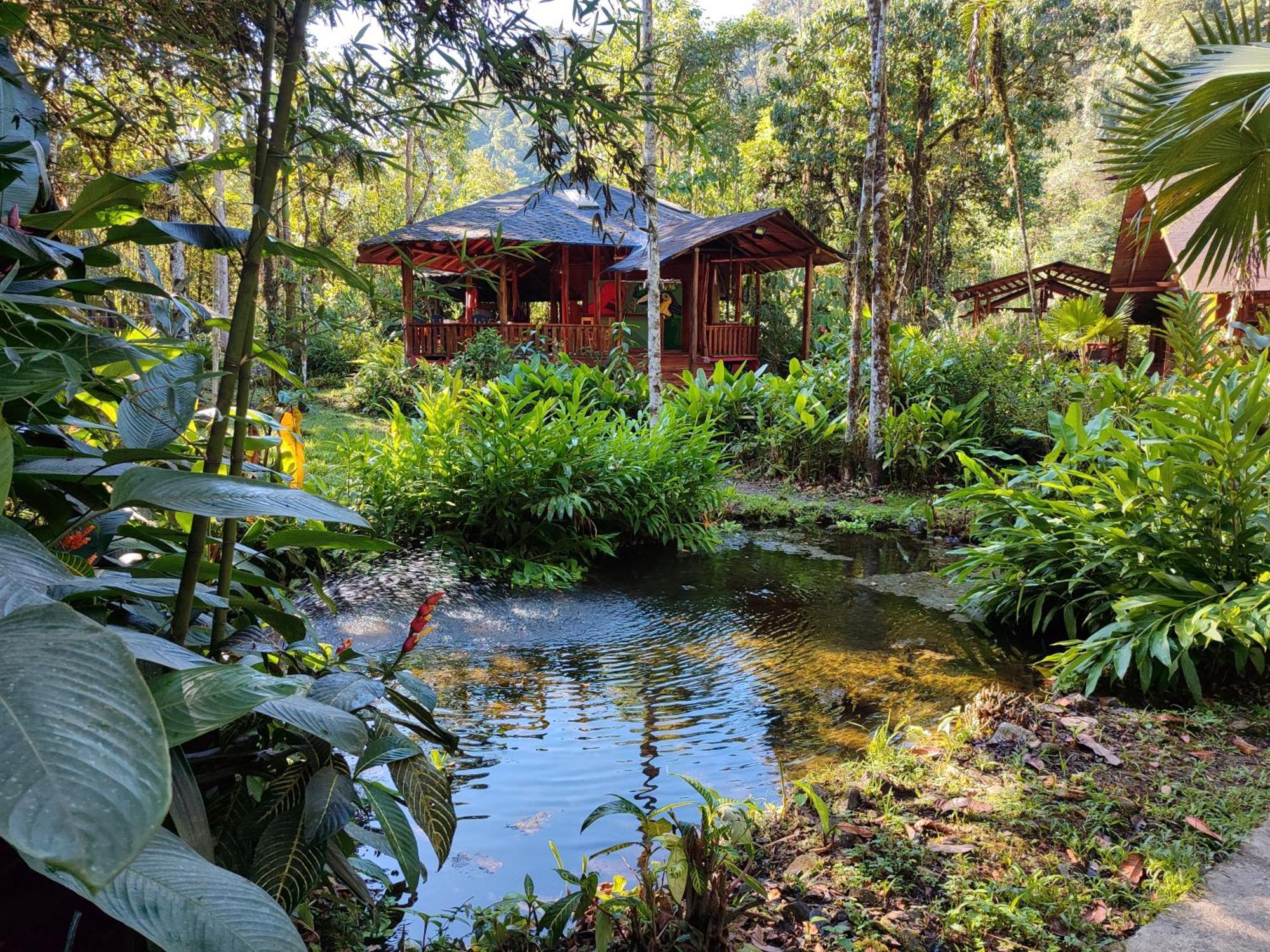 Mindo Garden Lodge And Wildlife Reserve Exteriér fotografie