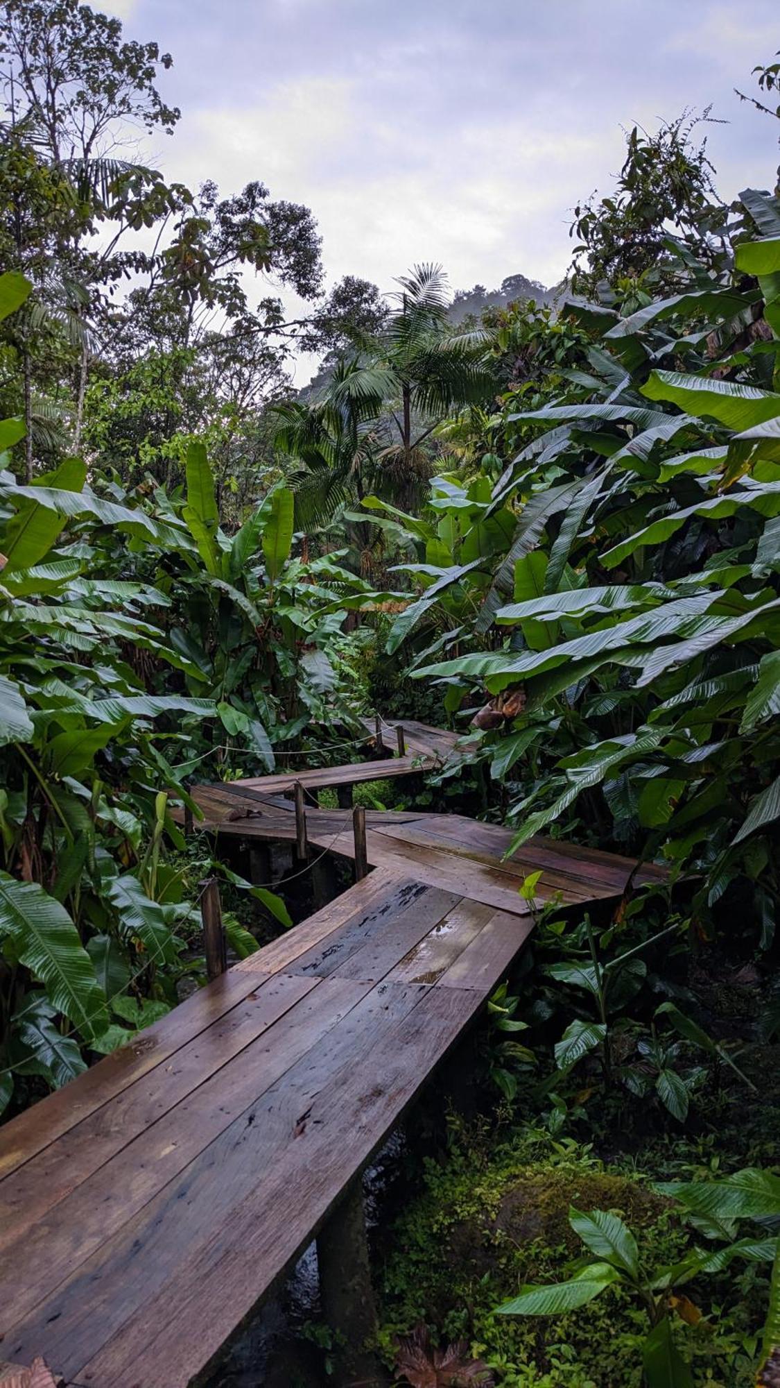 Mindo Garden Lodge And Wildlife Reserve Exteriér fotografie